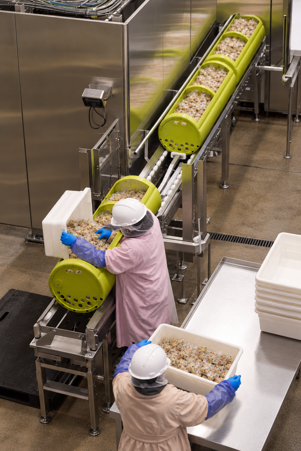 Workers loading packaged food into green processing baskets on a stainless-steel production line